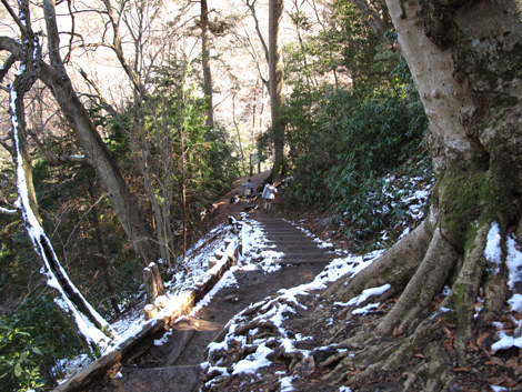 20160226hike (158)